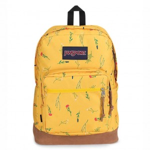 Batohy Batoh Na Notebook JanSport Right Pack Žluté | LCZSX59050