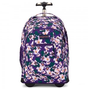Batohy Pracovní batohy JanSport Driver 8 Rolling Fialové | QCZWA20353
