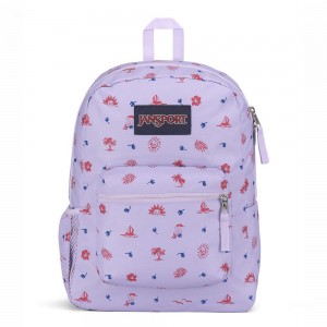 Batohy Školní batohy JanSport CROSS TOWN Světle Fialové | QCZUV67828