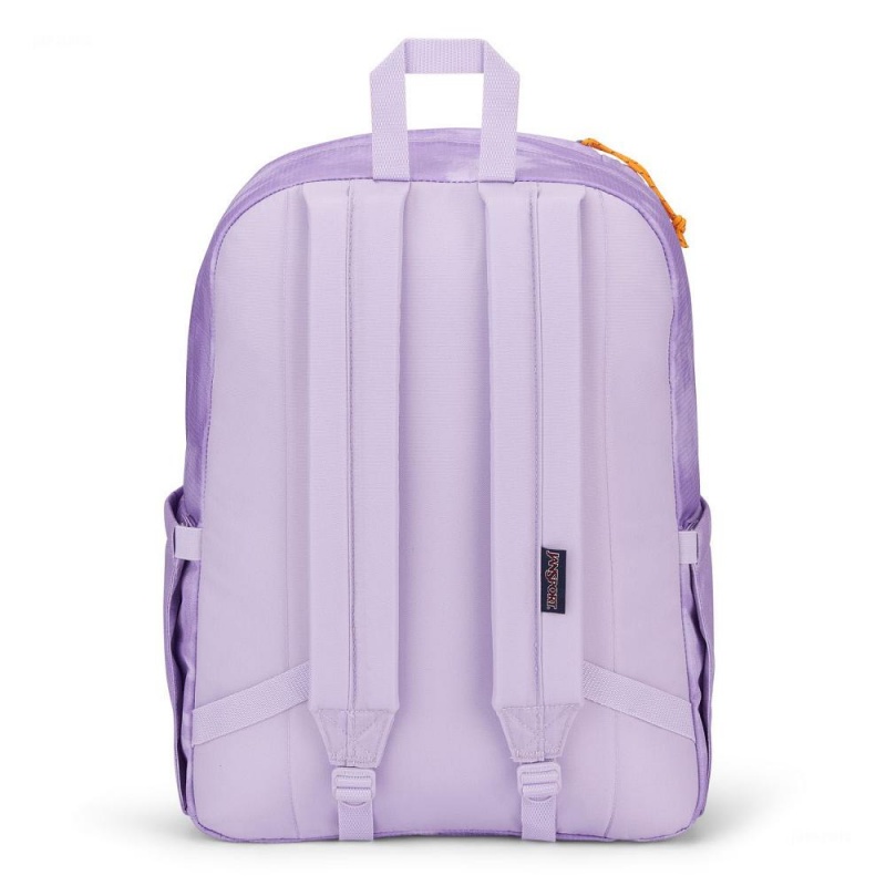 Batohy Batoh Na Notebook JanSport Double Break Fialové | BCZSD94796