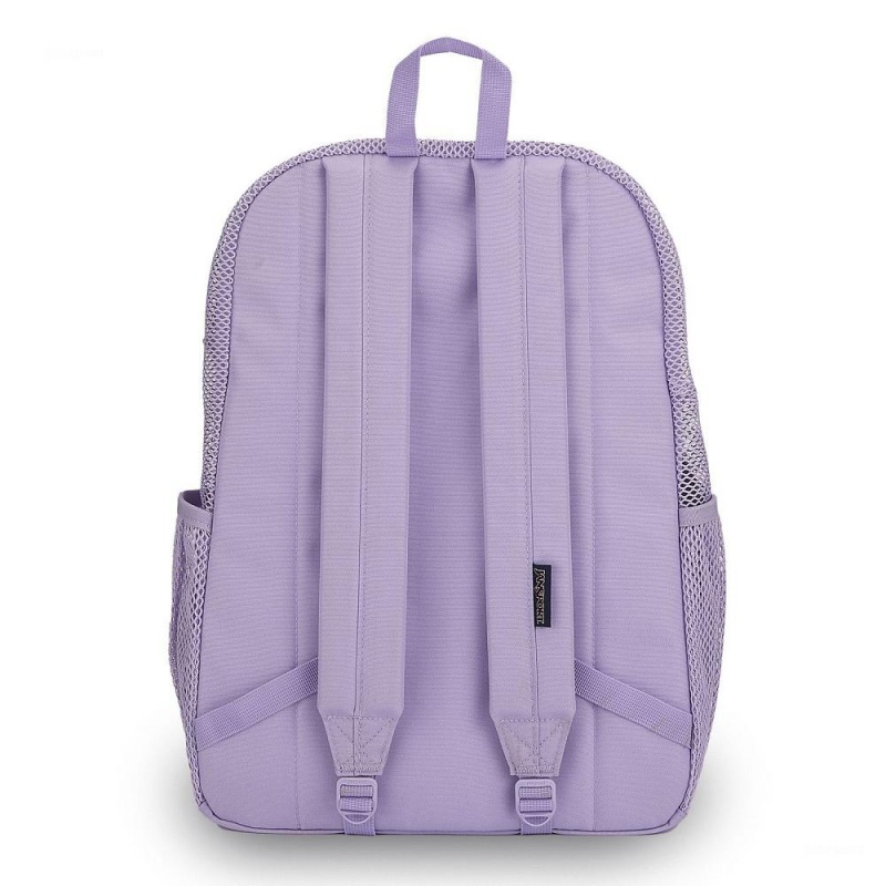 Batohy Batoh Na Notebook JanSport ECO MESH PACK Fialové | CZDFL46869