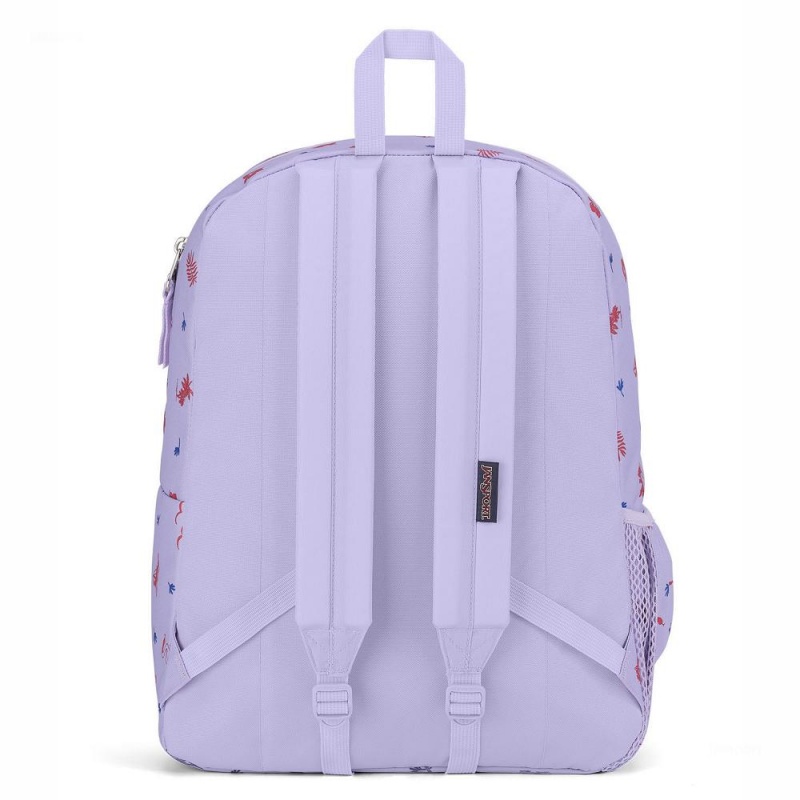 Batohy Školní batohy JanSport CROSS TOWN Světle Fialové | QCZUV67828