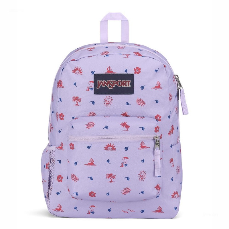Batohy Školní batohy JanSport CROSS TOWN Světle Fialové | QCZUV67828